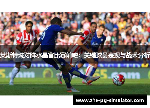 莱斯特城对阵水晶宫比赛前瞻:关键球员表现与战术分析 莱斯特城对阵水晶宫比赛前瞻:关键球员表现与战术分析