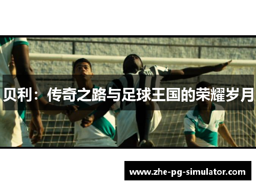 贝利:传奇之路与足球王国的荣耀岁月 贝利:传奇之路与足球王国的荣耀岁月