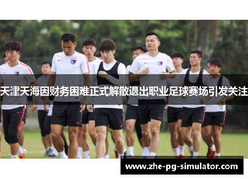 天津天海因财务困难正式解散退出职业足球赛场引发关注 天津天海因财务困难正式解散退出职业足球赛场引发关注